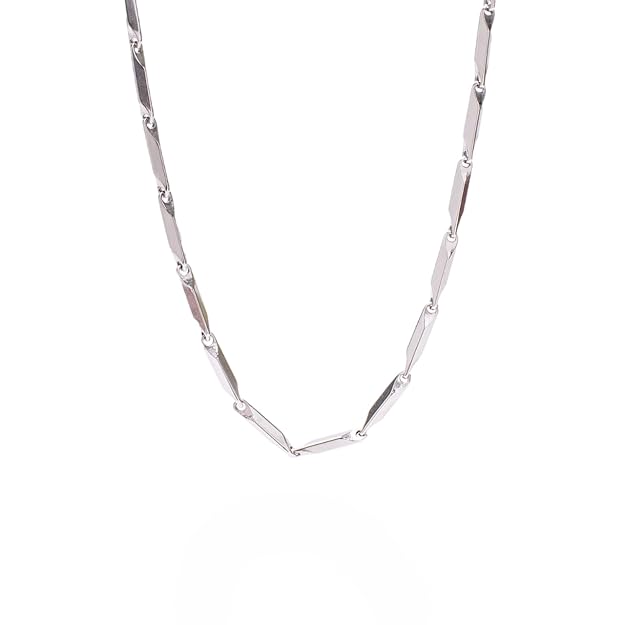 Jazz And Sizzle Silver-Titanium Plated Mens Seed Chain Fashion Necklace