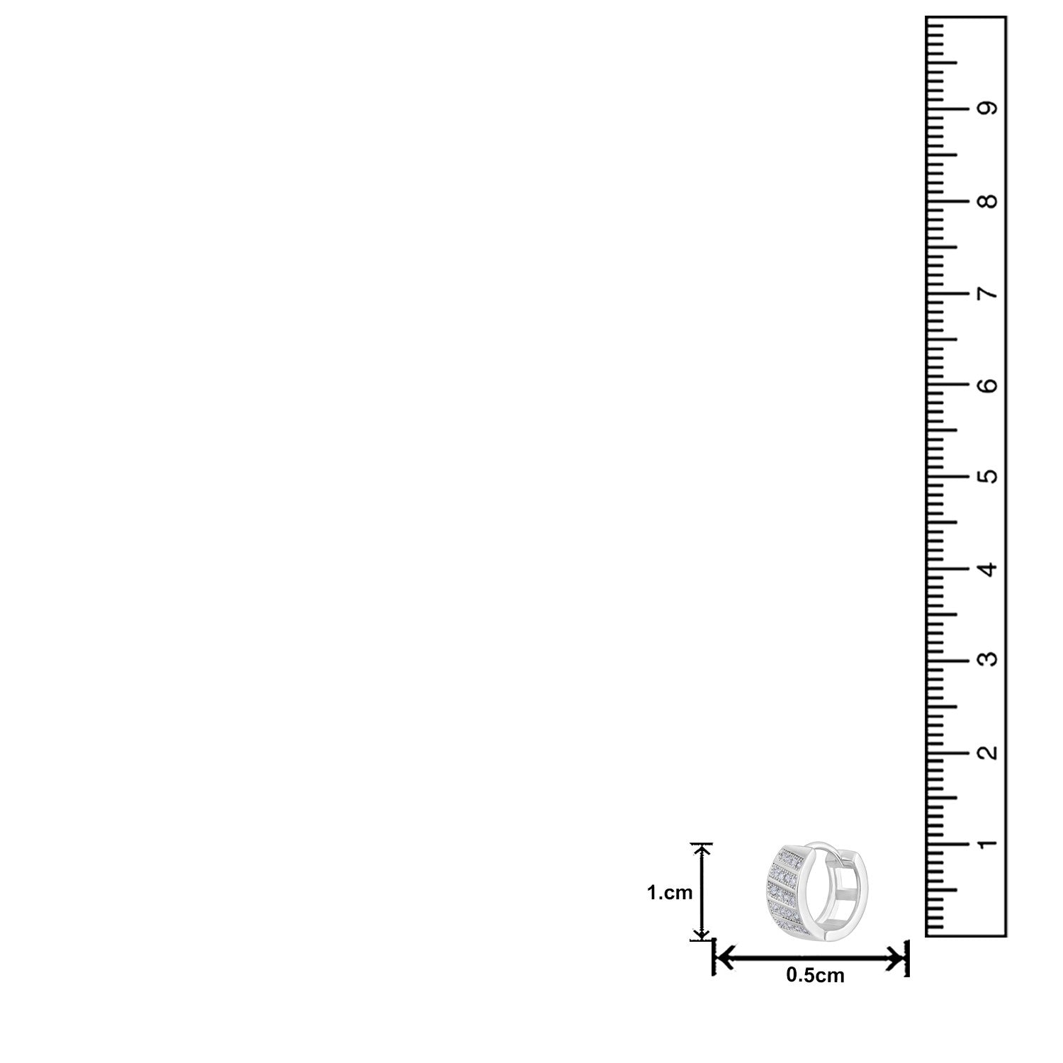 Jazz And Sizzle Silver Plated American Diamond Studded Hoop Earrings