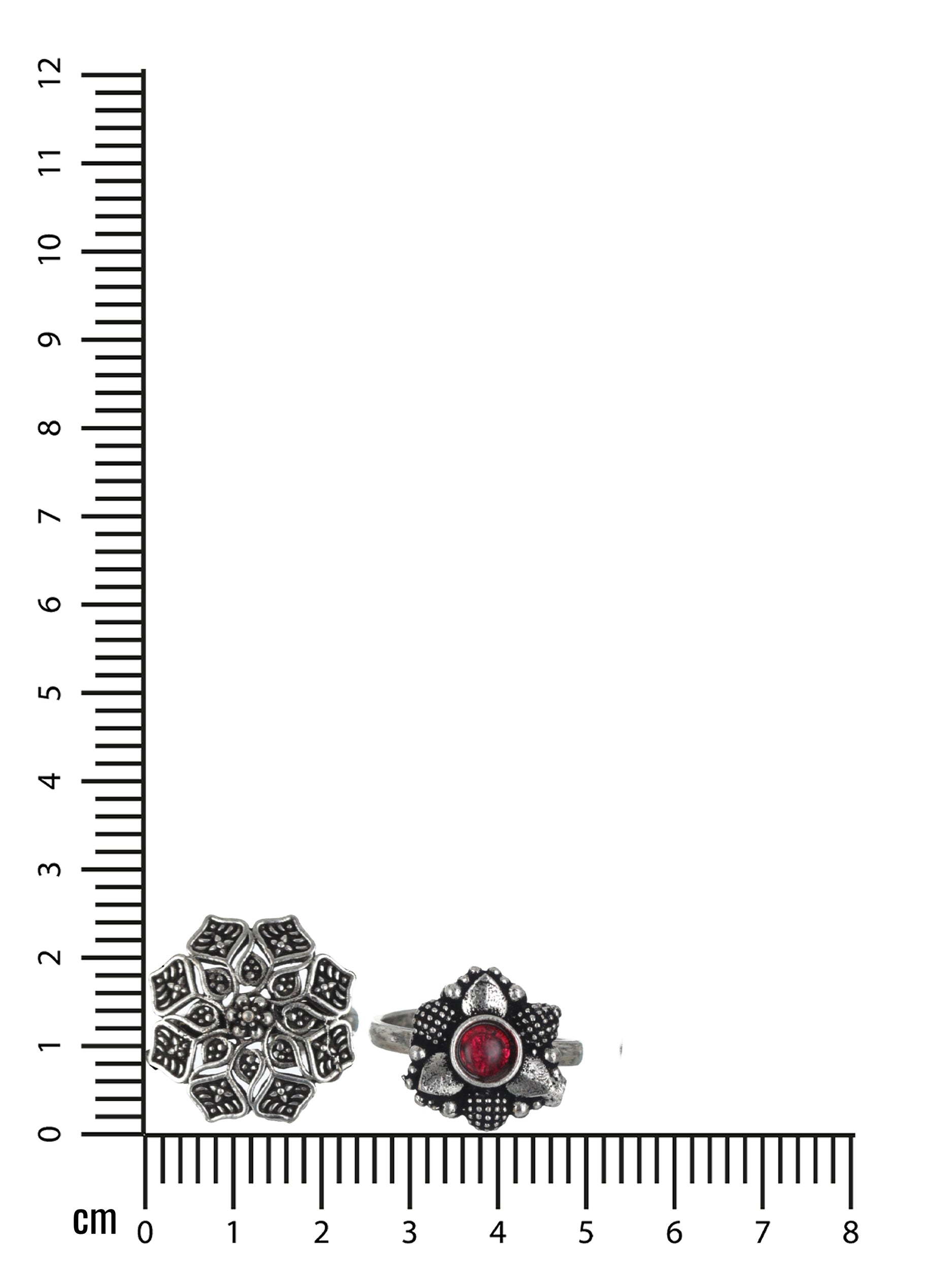 Set of 2 Silver-Plated Stone-Studded Oxidised Toe Rings - Jazzandsizzle